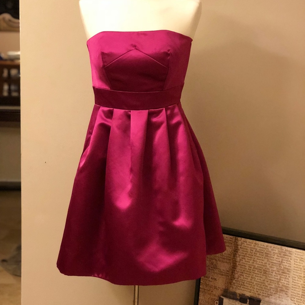 maxandcleo Fuscia Cocktail Dress